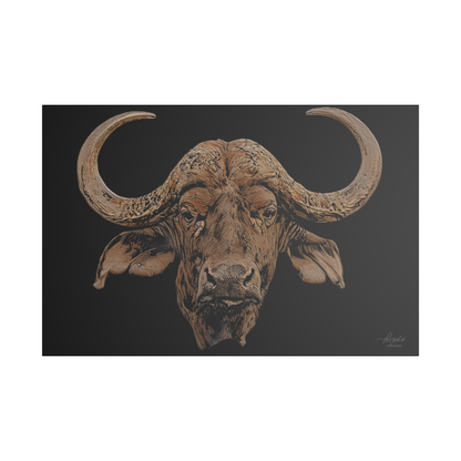Buffalo Satin Stretched Black Canvas Print