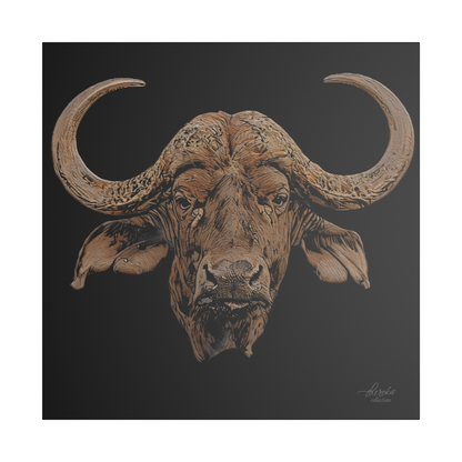 Buffalo Satin Stretched Black Canvas Print