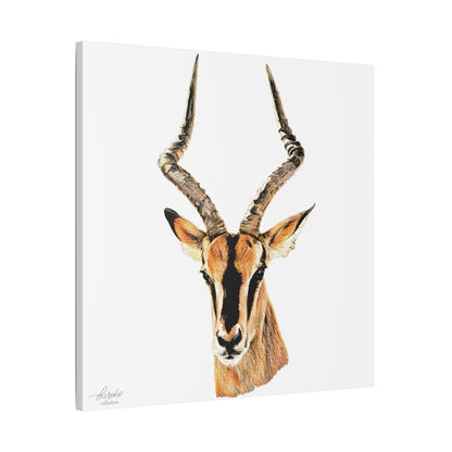 Impala Satin Stretched Canvas Print