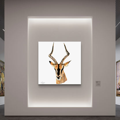 Impala Satin Stretched Canvas Print
