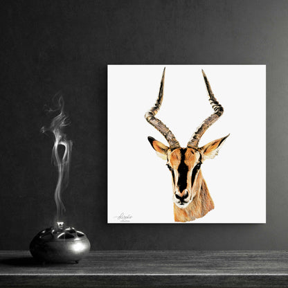 Impala Indoor & Outdoor HD Silk Poster