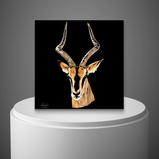 Impala Indoor & Outdoor HD Black Silk Poster