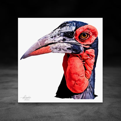 African Hornbill Fine Art Giclée Matte Poster - HD Printing