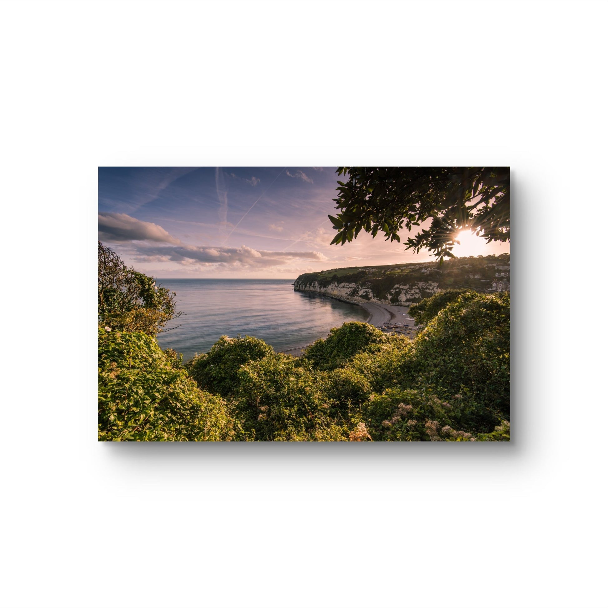 Beer Devon Canvas Print - HD Printing