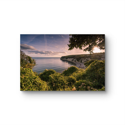 Beer Devon Silk Poster - HD Printing