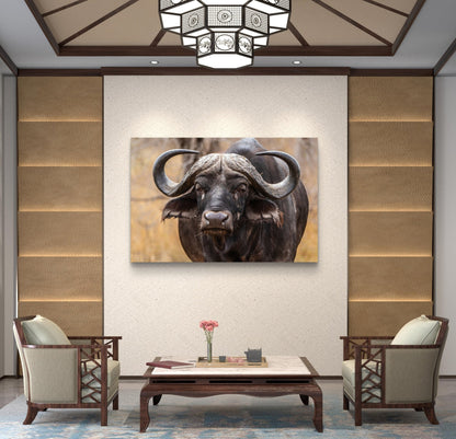 Buffalo Canvas Print - HD Printing