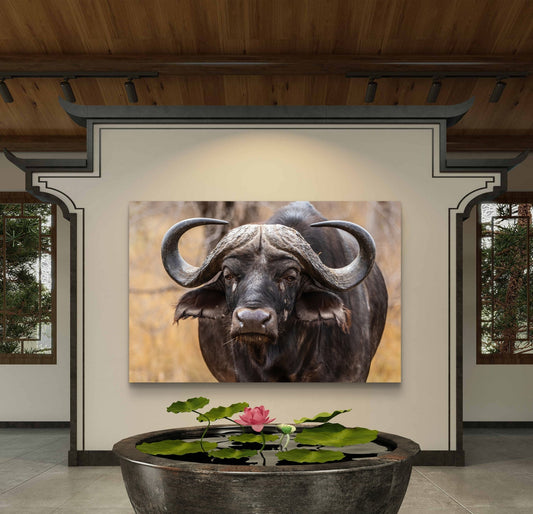 Buffalo Silk Poster - HD Printing