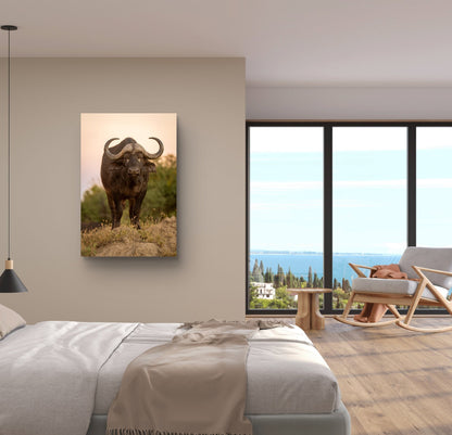 Cape Buffalo Fine Art Poster - HD Printing