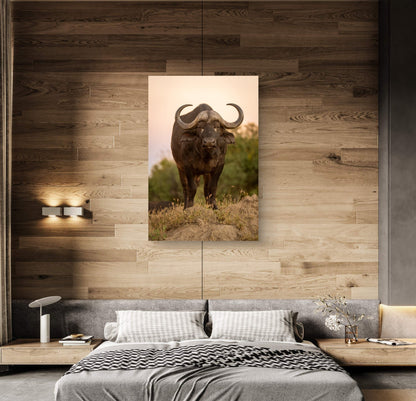 Cape Buffalo Fine Art Poster - HD Printing