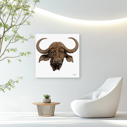 Cape Buffalo Satin Stretched Canvas Print - HD Printing