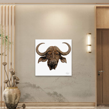 Cape Buffalo Satin Stretched Canvas Print - HD Printing