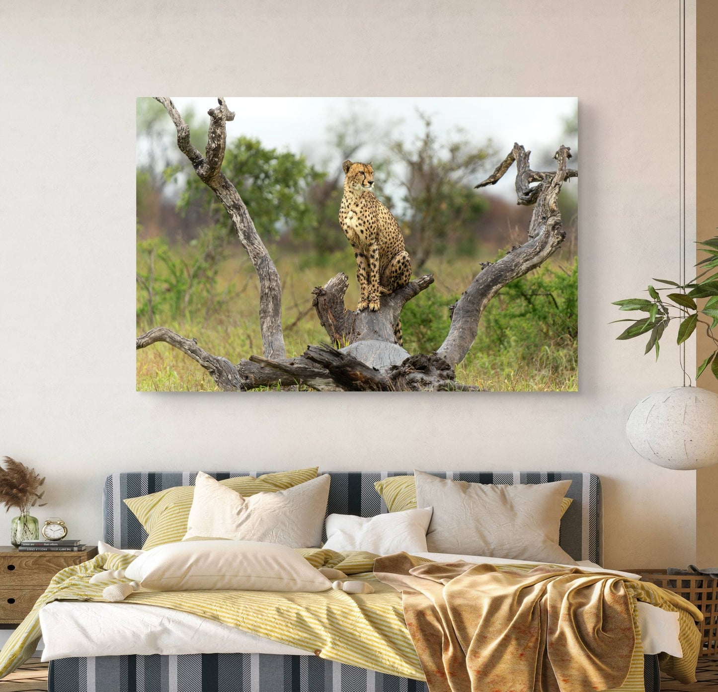 Cheetah Canvas Print - HD Printing