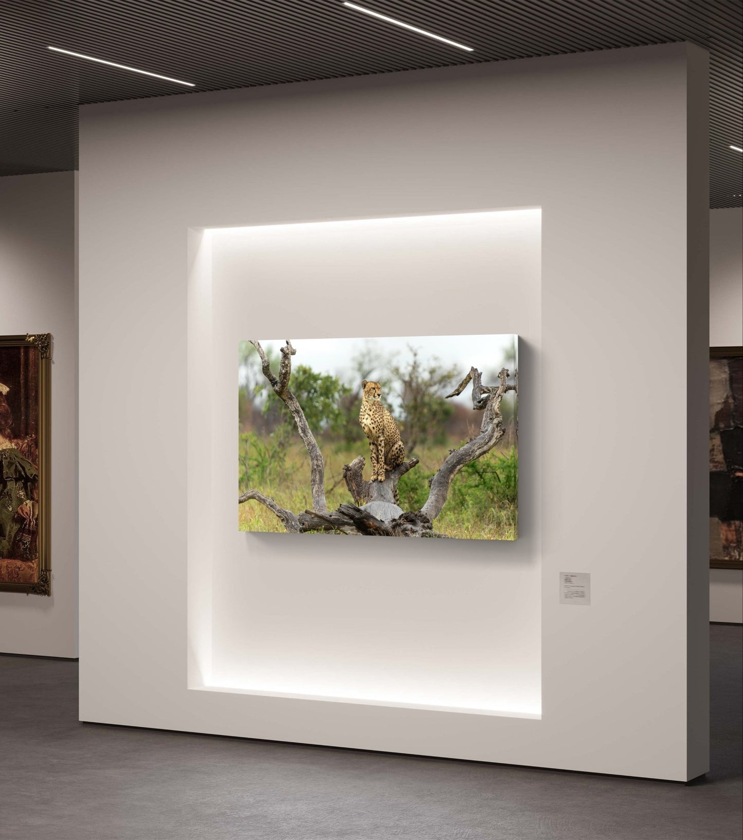 Cheetah Canvas Print - HD Printing