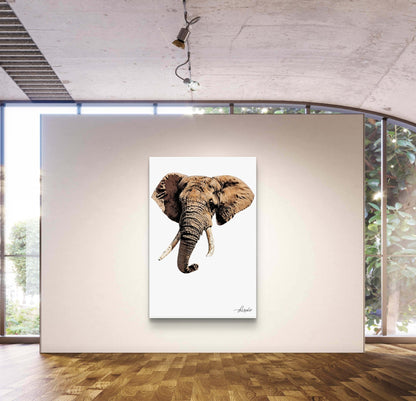 Elephant Canvas Print - HD Printing