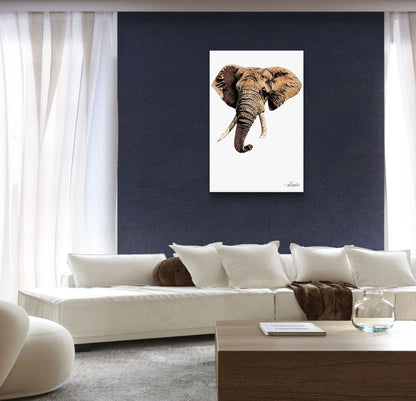 Elephant Canvas Print - HD Printing