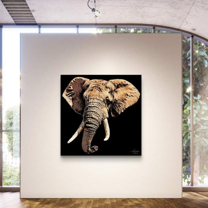 Elephant Fine Art Giclée Matte Black Poster - HD Printing