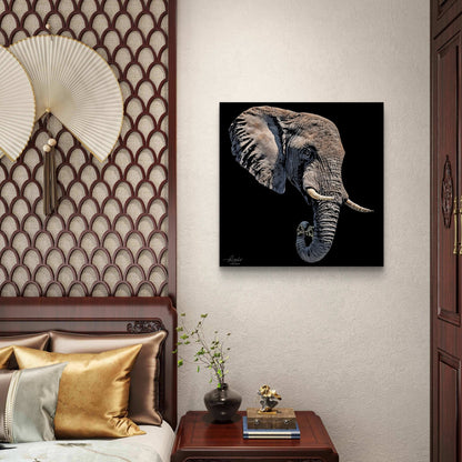 Elephant Fine Art Giclée Matte Black Poster II - HD Printing