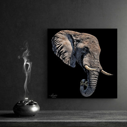 Elephant Fine Art Giclée Matte Black Poster II - HD Printing
