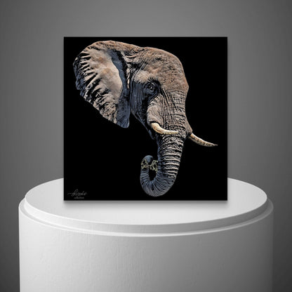 Elephant Fine Art Giclée Matte Black Poster II - HD Printing