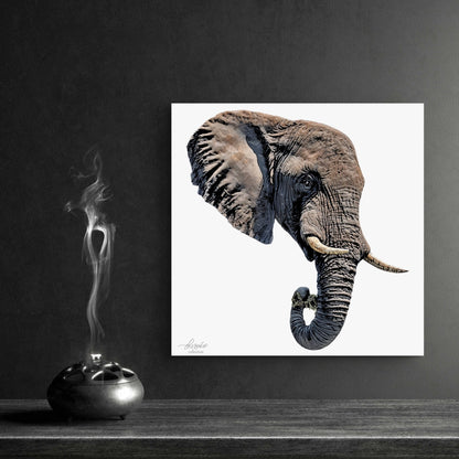 Elephant Fine Art Giclée Matte Poster II - HD Printing