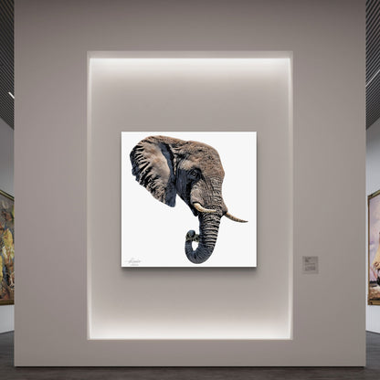 Elephant Fine Art Giclée Matte Poster II - HD Printing