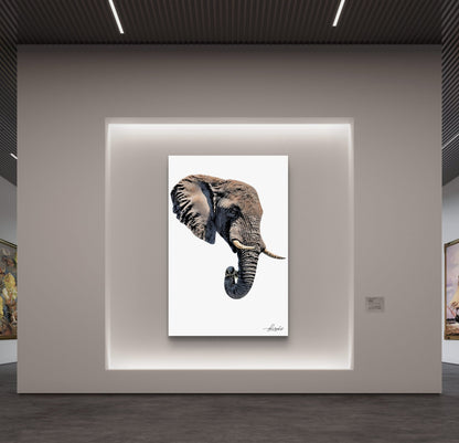 Elephant Fine Art Poster 2 - HD Printing