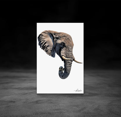 Elephant Fine Art Poster 2 - HD Printing