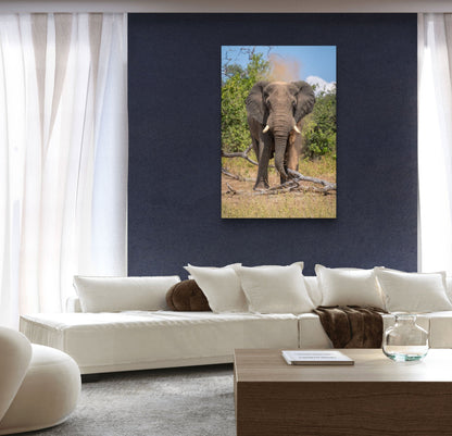Elephant Fine Art Poster - HD Printing