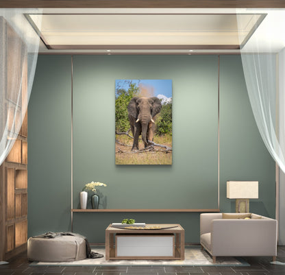 Elephant Fine Art Poster - HD Printing
