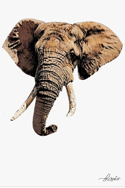 Elephant Fine Art Poster - HD Printing