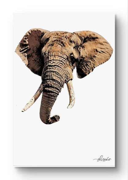 Elephant Fine Art Poster - HD Printing