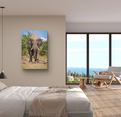 Elephant Fine Art Poster - HD Printing