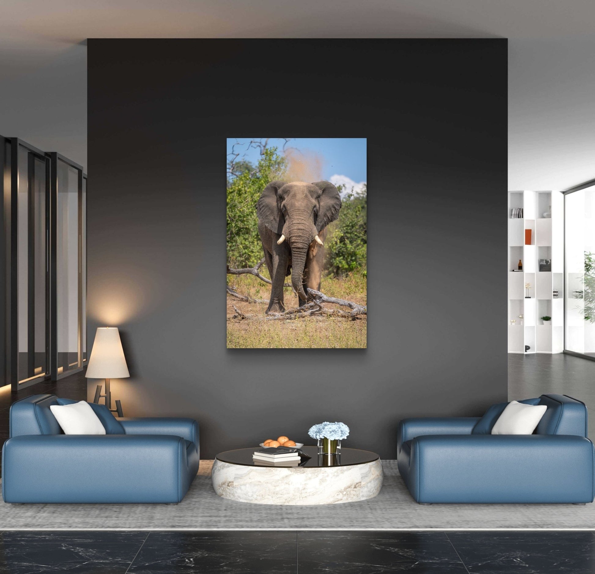 Elephant Fine Art Poster - HD Printing