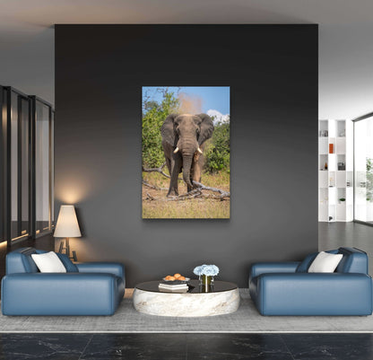 Elephant Fine Art Poster - HD Printing