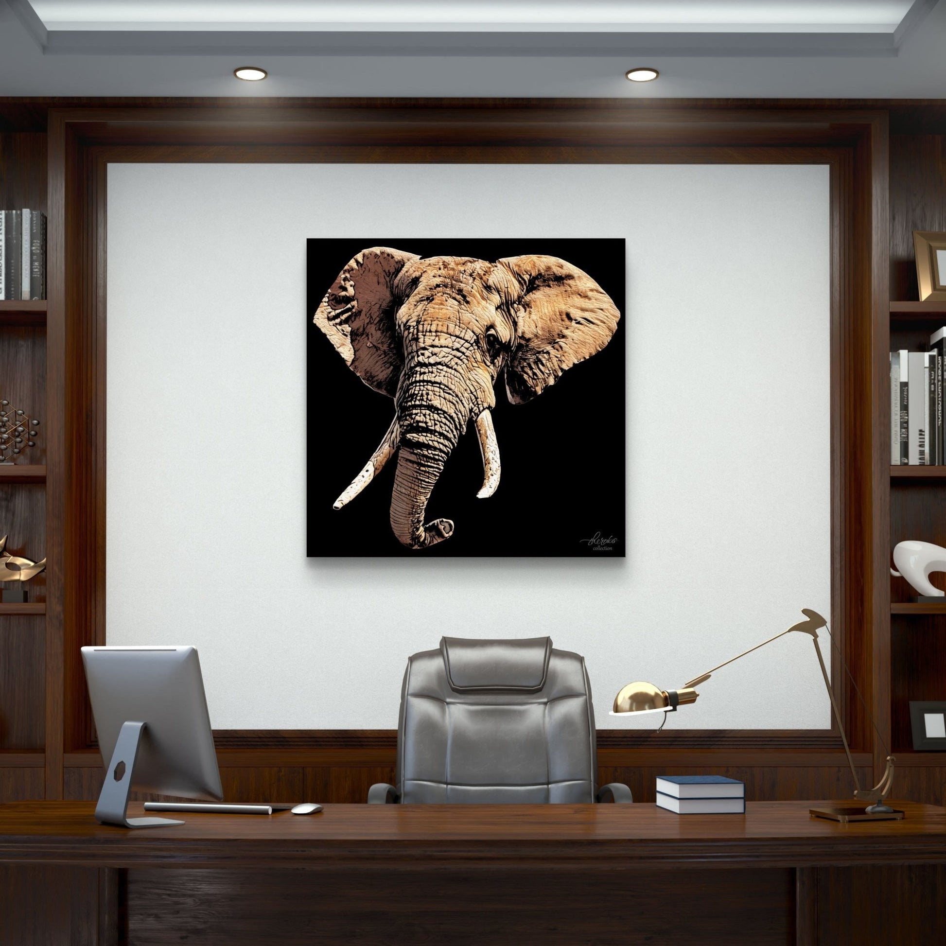 Elephant Indoor & Outdoor HD Black Silk Poster - HD Printing