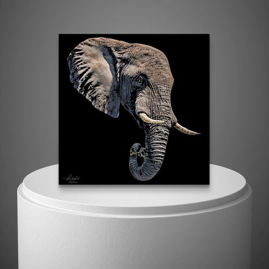 Elephant Indoor & Outdoor HD Black Silk Poster II - HD Printing