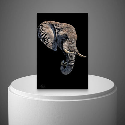 Elephant Indoor & Outdoor HD Black Silk Poster II - HD Printing