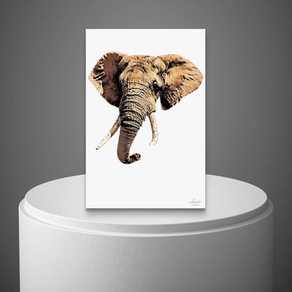 Elephant Indoor & Outdoor HD Silk Poster - HD Printing