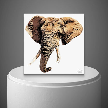 Elephant Indoor & Outdoor HD Silk Poster - HD Printing