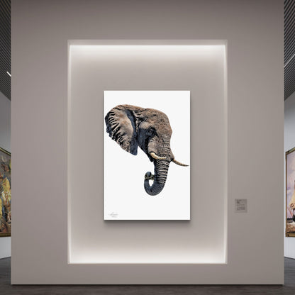 Elephant Indoor & Outdoor HD Silk Poster II - HD Printing