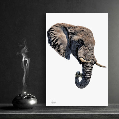 Elephant Indoor & Outdoor HD Silk Poster II - HD Printing