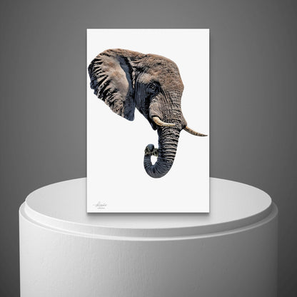 Elephant Indoor & Outdoor HD Silk Poster II - HD Printing