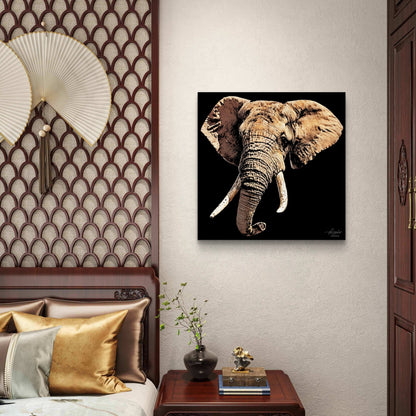 Elephant Satin Stretched Black Canvas Print - HD Printing