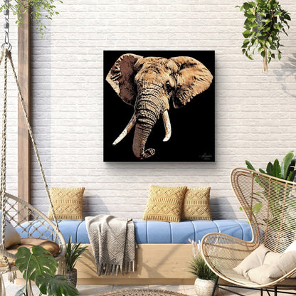Elephant Satin Stretched Black Canvas Print - HD Printing