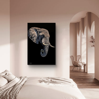 Elephant Satin Stretched Black Canvas Print II - HD Printing