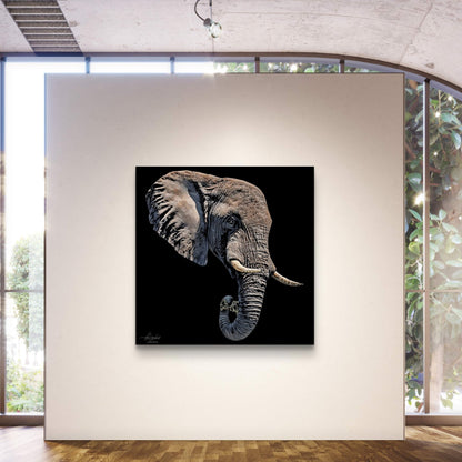 Elephant Satin Stretched Black Canvas Print II - HD Printing