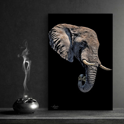 Elephant Satin Stretched Black Canvas Print II - HD Printing