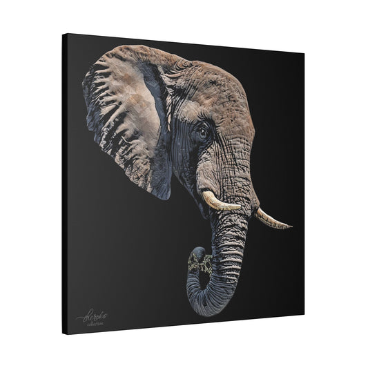 Elephant Satin Stretched Black Canvas Print II - HD Printing