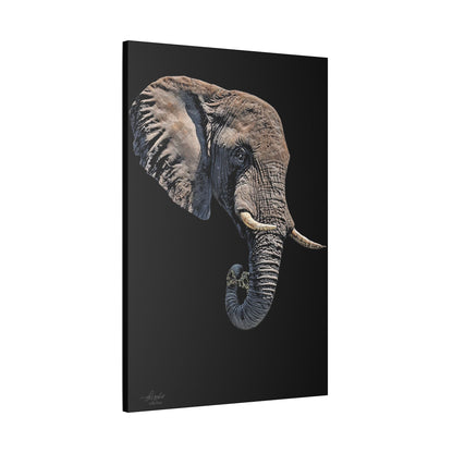 Elephant Satin Stretched Black Canvas Print II - HD Printing