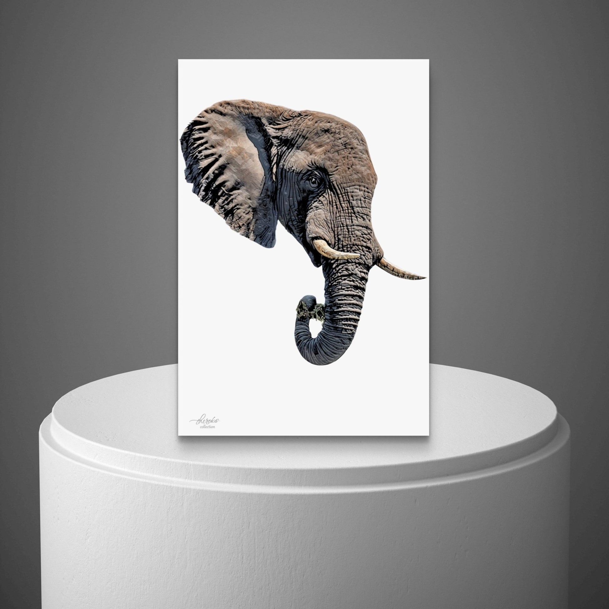Elephant Satin Stretched Canvas Print II - HD Printing